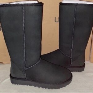 UGG CLASSIC TALL